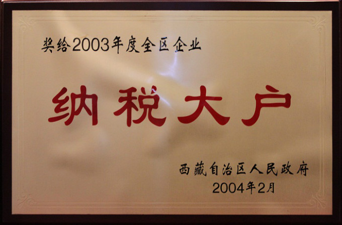2004納稅大戶