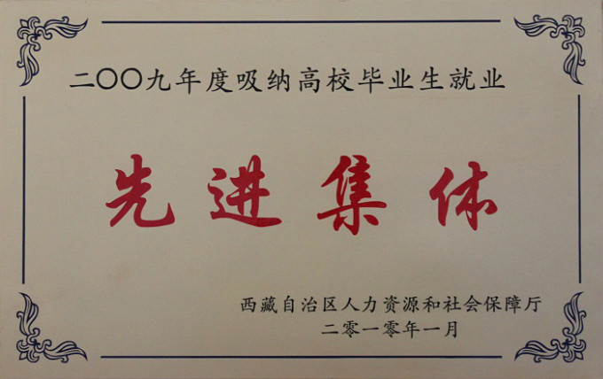 2010吸納高校畢業(yè)生就業(yè)先進集體